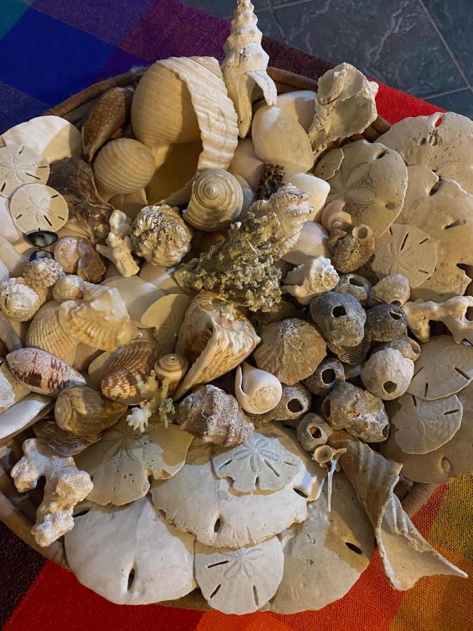 Uverito Sand Dollar B&B Las Tablas Esterno foto